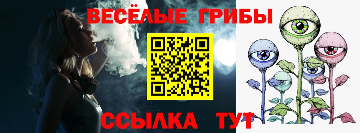 Галлюциногенные грибы Psilocybine cubensis Чайковский