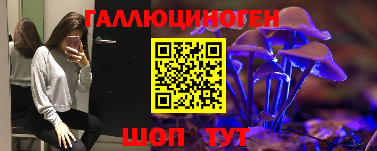 купить наркотик  Вход с VPN  Чайковский  Псилоцибиновые грибы Cubensis 